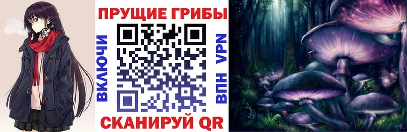 Купить где  Кимры  Галлюциногенные грибы Psilocybine cubensis 